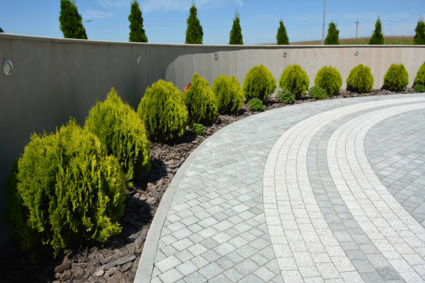 Best Residential Driveway Paving in Port Arthur, TX